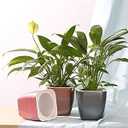 FENGZHITAO Self Watering Planter, African Violet Pots, Lazy Flower Pot, Automatic-Watering Planter Flower Pot for Succulents, Herb, African Violets, All House Plants(3 Packs Colourful Small)