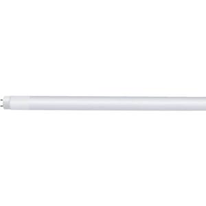 Feit T4815/850/AB/LED/10 4 Foot T8/T12 Plug-&-Play/Ballast Bypass LED Hybrid, Type A/Type B All-in-One, 10-Pack