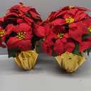 2 Pack Large Outdoor 18" Pre-Lit Christmas Decorations Flower LED Lighted Artificial Poinsettia Plants - Faux Poinsettia Flowers in Pot with Lights for Outdoor Use (Red,18inch)