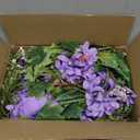 DearHouse 2Pack Artificial Peony Flower Garland - 6ft/Strand Silk Peony Garland with Pink Flowers for Wedding Party Table Decoration,Deep Ruby (Purple)