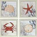 Ava Barrett Framed Coastal 16" x 16" Coral Prints, 4-pc Wall Art Set, Multicolor