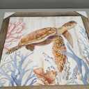 Framed Turtle Wall Art Decor: Wooden Coastal Theme Ocean Life Painting Artwork Seabed Sealife Coral Picture Print Modern Bathroom Bedroom Living Room Kitchen Decoration 24x24 inch