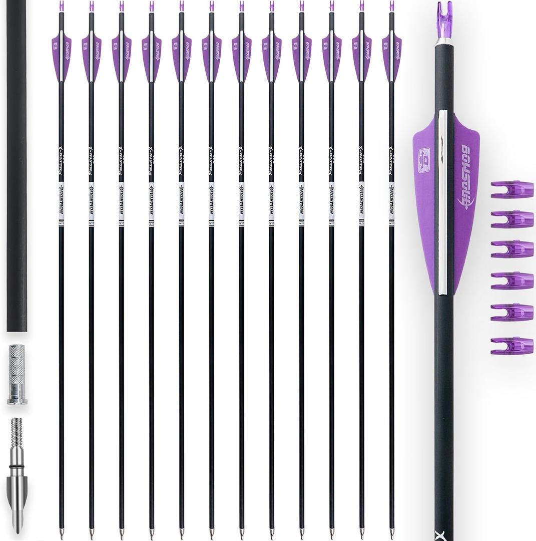 31Inch Carbon Arrows for Target Practice Hunting Arrow with Removable Tips for Compound & Recurve Bow(Pack of 12) (Purple White)
