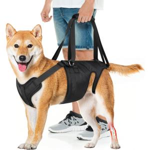 Dog Lift Harness, Dog Sling for Large Medium Dogs' Hind Leg Support Pee-Able. Ideal for Seniors, Disabled, Injured & Arthritic Dogs in ACL Recovery, Secure Harness for Assisted Mobility (Medium)