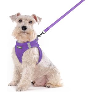 rabbitgoo Dog Harness Small Sized and Leash Set, Step in Soft Light Puppy Vest, Breathable Mesh Pet Harness, Reflective for Outdoor Safe Walking, Purple XXL 