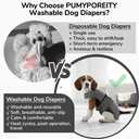 PUMYPOREITY Dog Diaper with Suspender, Escape-Proof Anti-Harassment Garment for Heat Cycle, Incontinence, Puppy Training, Senior Dog, M, Grey