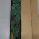 Real Eucalyptus Stems 20PCS Dried Preserved Fresh Eucalyptus Silver Dollar Leaves for Shower - Greenery Branches for Wedding Home Party Vase Filler Spring Decor (Green Style 02)