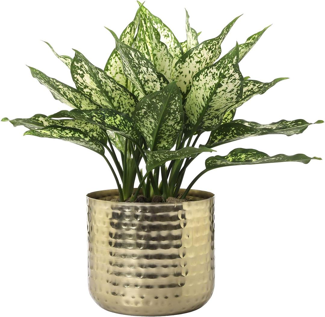 MyGift 6-Inch Shiny Brass Tone Metal Plant Pot with Hammered Texture, Cylindrical Indoor Succulent Planter - Handcrafted in India