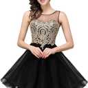 MisShow 2024 Women's Cocktail Dresses Crystals Applique Short Prom Homecoming Dresses (Large, Black)