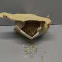 GASPRO 10 lbs Fire Glass for Propane Fire Pit, 1/2-Inch Glass Rocks for Fire Pit Table Fireplace, Gold