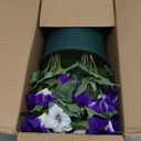 MARTINE MALL Artificial Flowers for Outdoors, 1 Potted Realistic Fake Outdoor Flowers, UV Resistant Silk Petunia Flower for Outside Look Real Faux Flower Plants in Pot for Porch Garden Decor, 20'' (Purple White)