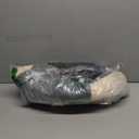 Cat Beds for Indoor Cats - Cat Bed Cave with Removable Washable Cushioned Pillow,2 in 1 Super Soft cat Tent for Kitten and Small Cats, Lively Pufferfish Animal-Shape & Furniture, Grey Multiple Sizes