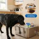 PETNF Dog Water Fountain, 3Gal Stainless Steel Pet Water Dispenser with 4-Stage Filtration, Ultra-Quiet Pump & Circulating Flow, Ideal for Large Dogs Multi-Pet Home, Perfect for Long Trips & Daily Use