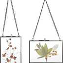 JUXYES Set of 2 Wall Hanging Brass Photo Frames for Pressed Flowers, Double Glass Hanging Picture Artwork Display Frame, Gold Floating Style Gallery Wall Frame for Photo Picture Poster etc, 4x6 Inches (Black)