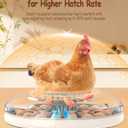 Incubators for Hatching Eggs with Automatic Egg Turning, Auto Temperature Control, Humidity Display, LED Egg Candler, 30 Eggs Incubator for Chicken, Quail, Parrot Eggs