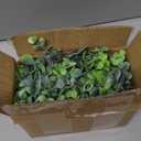 DearHouse Faux Eucalyptus Garland Plant, 2 Pack Artificial Vines Hanging Eucalyptus Leaves Greenery Garland for Wedding Backdrop Arch Wall Decor, 6 Feet/pcs UV Protected Indoor Outdoor