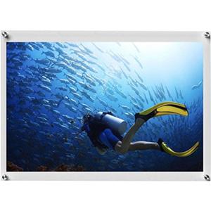 11x17 Floating Acrylic Picture Frame With Chrome Standoff Double Panel Wall Mount Photo Frame for Picture Up To inches (Inner Max Size is 11x17 inch), 1117