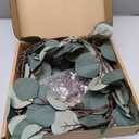 Birchlitland Decorative Garland Lights 6FT 96 LED Fairy Lights, Lighted Eucalyptus Twig Garlands with Timer Battery Operated for Bedroom Stairs Party and Holiday Decor Indoor Outdoor