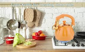 Stainless Steel Tea Kettle for Stove Top Teakettles Stovetop Whistling with Heat Proof Ergonomic Handle 2.5 Quart