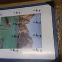 16x20 Wood Picture Frame Set of 4, Wall Mount for Home Decor, Blue, 16x20 in