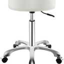 Rolling Stool with Wheels, Thick Cushion Heavy Duty Esthetician Hydraulic Chair Stool for Work Medical Tattoo Salon Office (White)