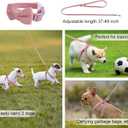Dog Harness and Leash Set, XXS No Pull Adjustable Puppy Harness with Multifunction Pink Dog Leash and Dog Collar, Soft No Choke Escape Proof Pet Harness Vest for Small Dogs and Cats (Red, XXS) (XXS(2.2-6lb))