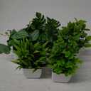 Der Rose 6 Pack Small Fake Plants Artificial Plants in Pots for Home Bthroom Bedroom Living Room Decor IndoorGreen (White)