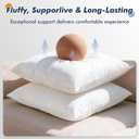 Pack of 2 24x24 Outdoor Pillow Inserts, Water Resistant Throw Pillow Inserts, Cushion Inner Pads for Patio, Furniture, Sofa, Bed, Living Room, Garden Decorative Waterproof Pillow Inserts
