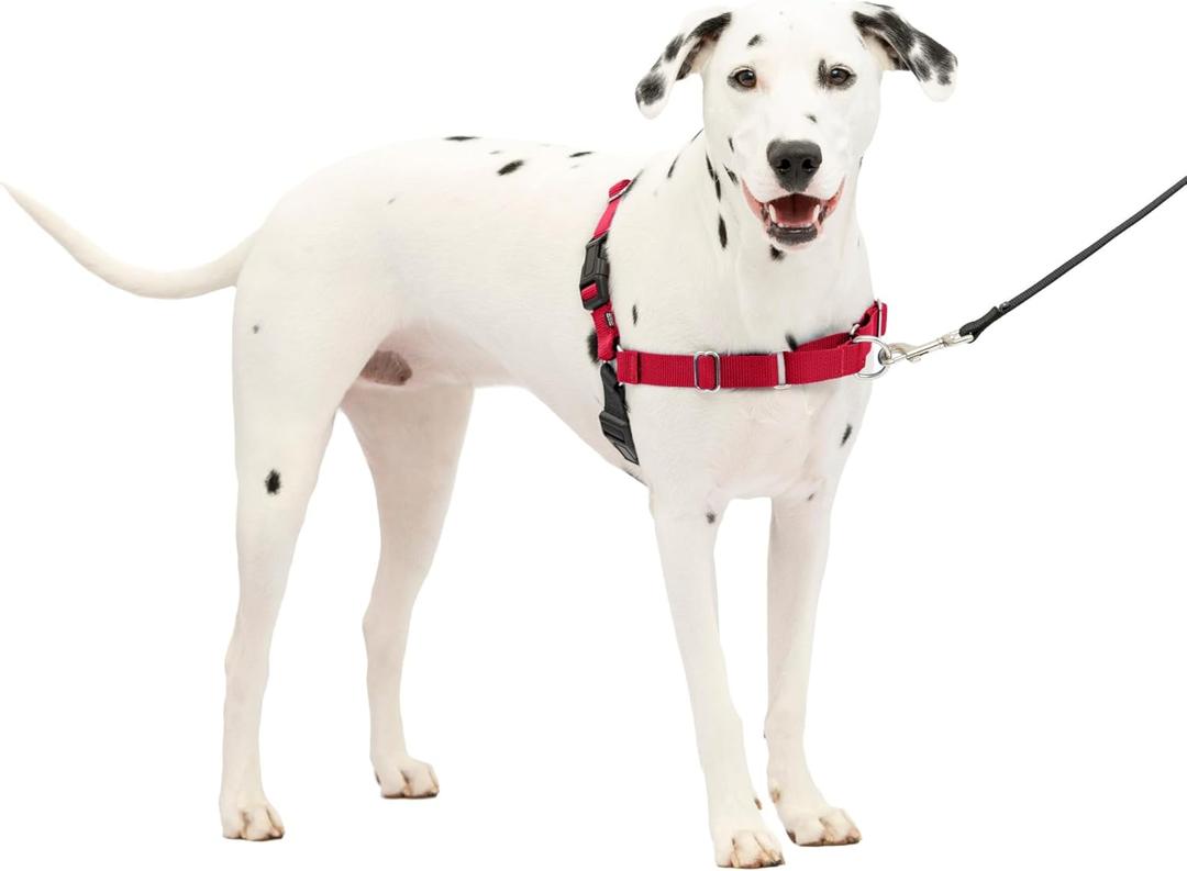 PetSafe Easy Walk Harness for Dogs - Pull-Free Walks - Patented Martingale Loop Design - Front Chest Leash Attachment - Comfort Straps - Breathable Harness Design - Medium/Large, Red/Black