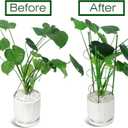 LEOBRO Tomato Cage, 2 PCS Small Plant Support Cage Rust Resistant Garden Ring Stake Plant Support for Tomato, Trellis, Climbing Plant, Flower, Plant Cages for Small Plants,17.7" H