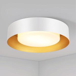 Yiisem Glass White And Gold Flush Mount Ceiling Lights 16.5 Inches