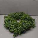 26" Artificial Boxwood Wreath for Front Door - Large Faux Aglaia Odorata Wreath, Fake Eucalyptus Leaves Plants for Wall Window Farmhouse Outdoor Decor - Spring, Summer, All Seasons (Green)