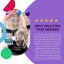 I and love and you Feed Meow Tummy Wet Cat Food - Tuna + Pumpkin - Digestion Support, Grain Free, Shredded, 3oz Pack of 12