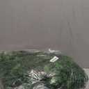 Hananona 6 FT 2 Pcs Artificial Cedar Garlands, Real Touch Winter Cedar Garland, Green Artificial Greenery Pine Garland for Table, Mantle, Wall, Indoor, Outdoor Christmas Decorations (2, 6 FT)