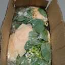 Dolicer 2Pcs 13Ft Artificial Eucalyptus Garlands with Flowers - 8 Roses, Faux Floral Greenery Garlands Fake Flowers Vines for Wedding Table Centerpieces Arch Party Ceremony Backdrop Decor (Champagne)