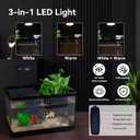 1.8 Gallon Beta Fish Tank Aquariums Kits - Clear Small Fish Bowl Starter Kit with LED Light, Water Filter Pump, Hydroponic Basket - Beginner's Gift for Guppy Shrimp Goldfish, Rectangular