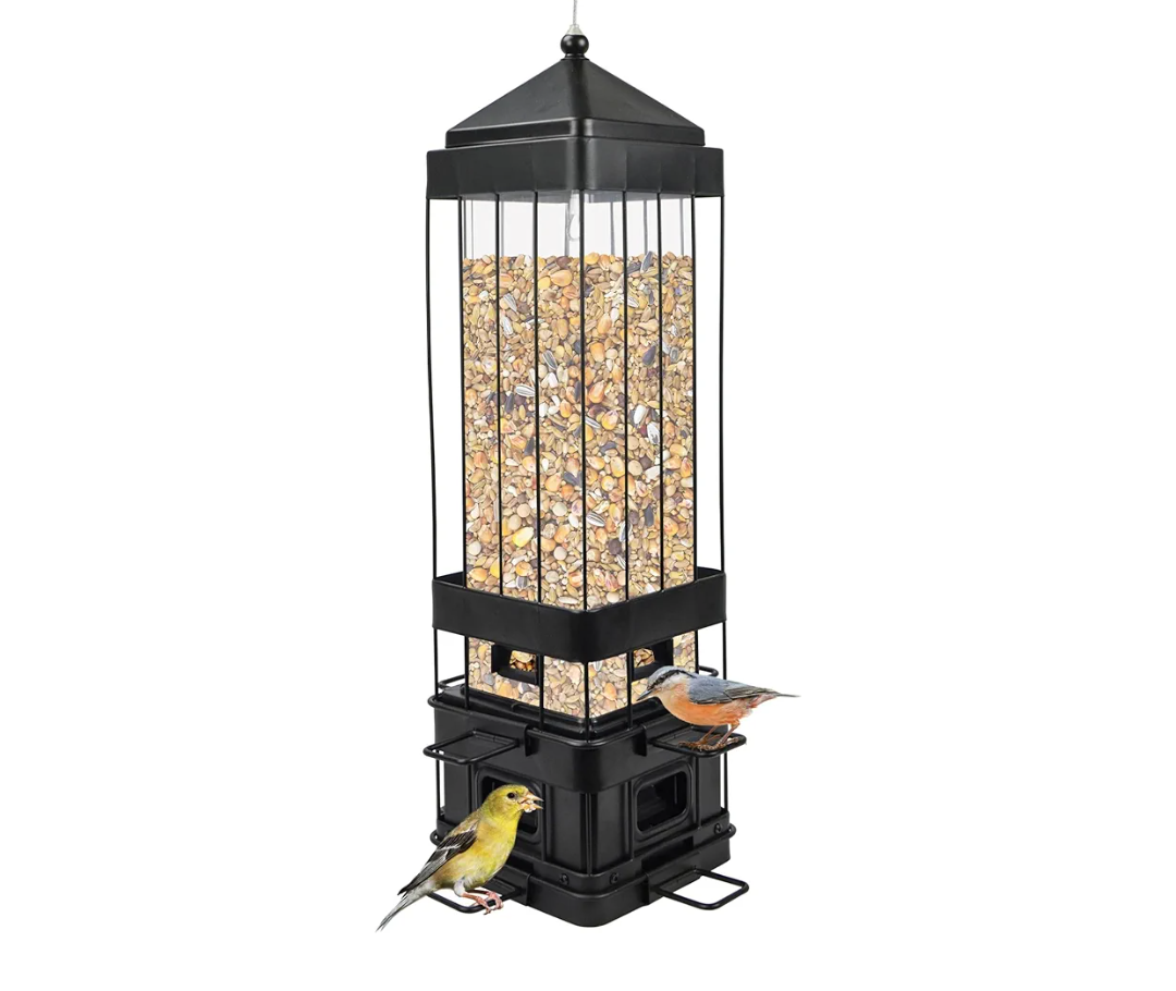 Nature's Way Bird Products SPCAGE-1 Squirrel Shield Advantage Cage Feeder