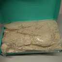 WEBEEDY Scarf Knitting Kit Complete Knitting Starter Kit for Adults, Learn to Knit Scarf Set with Yarn, Knit Needles, Detailed Video Tutorial for Beginners Craft Set Supplies