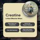 WeightWorld Sugar Free Creatine Gummies 5g (5000mg) | Pre & Post Workout Gummy | 90 Vegan Creatine Monohydrate Gummies for Men & Women (1 Month Supply) - 3 per Day | Non-GMO, Natural Lemon Flavor