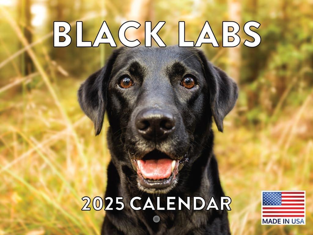 Black Lab Calendar 2025 Labrador Monthly Wall Calendar 12 Month | American Made In The USA