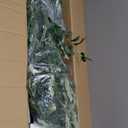 6FT Artificial Olive Tree,Artificial Plants Indoor,Faux Olive Tree Indoor with Natural Wood Trunk and Realistic Leaves and Fruits for Home Office Decor Thanksgiving Gift