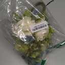 Duovlo Fake Flowers Vintage Artificial Peony Silk Flowers Wedding Home Decoration,Pack of 1 (New Green) (20.87*3.5)