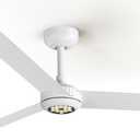 TALOYA Ceiling Fans with Lights,Metal Body Fan,White Finish,Dimmable, Noiseless, Reversible DC Motor,Remote Control,6-Speed