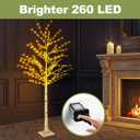 6FT Lighted Twig Birch Tree with Fairy Lights, 260 LED Birch Tree Lights with Timer for Indoor Outdoor Home Bedroom Party Christmas Decoration, Plug in