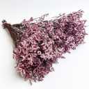 Preserved Baby's Breath Grass Bouquets, 100% Natrual Long Lasting Flowers, 17 Inch Arrangements for Vase, Home Decoration Photo Props Parties and Weddings, DIY Dcor-Baby's Breath Grass