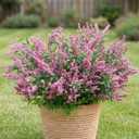 Zeyune 12 Pcs Faux Dusty Plum Berry Stem for Outdoor Artificial Purple Sedum Berry Pick 14 Inch Fake Realistic Flower Branches Decor for DIY Farmhouse Garden Patio Yard Wedding Home Arrangement