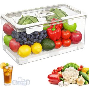 MAELSTROM Snackle Box Container, Picnic Basket with Lid and Handle, Clear Organizer Snackle Box for Biscuit, Fruits, Charcuterie -Perfect for Travel, Picnic, Beach & Party (1 Pack (Single Compartment))