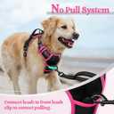 rabbitgoo Dog Harness No Pull with 2 Leash Clips, Adjustable Soft Padded, Reflective Oxford No Choke Pet Vest with Easy Control Handle for  Dogs, Black & Hot Pink, M