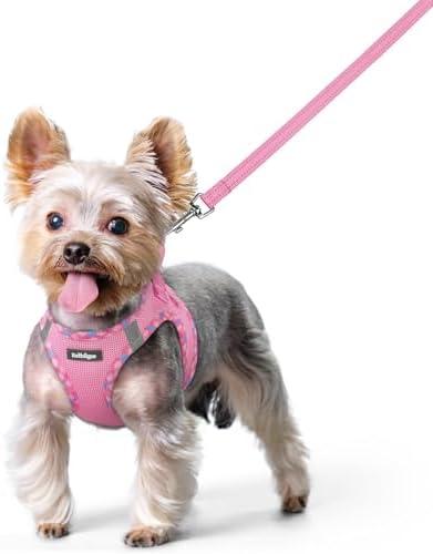 rabbitgoo Dog Harness Small Sized and Leash Set, Step in Soft Light Puppy Vest, Breathable Mesh Pet Harness, Reflective for Safe Easy Walking, Pink & Plaid Trim XS