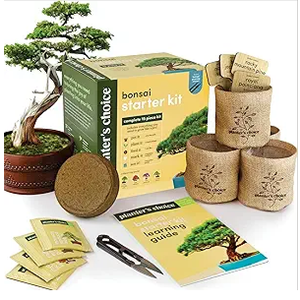 Bonsai Starter Kit  Gardening Easter Gift for Women & Men  Bonsai Tree Growing Garden Crafts Hobby Kits for Adults, Unique DIY Hobbies for Plant Lovers  Unusual Christmas Gifts Ideas